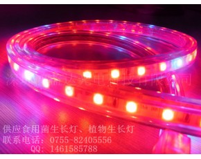供應(yīng)鴻益達(dá)LED植物生長燈、植物燈帶、植物補(bǔ)光燈條