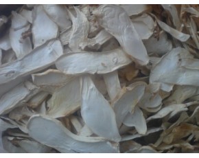 杏胞菇。雞腿菇，雙孢菇，草菇