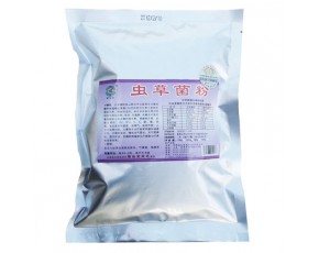發(fā)酵蟲(chóng)草菌絲體粉
