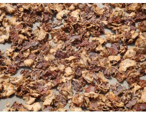【食用菌榆耳批發(fā)】薛勇榆耳銷售部批發(fā)榆耳干鮮品