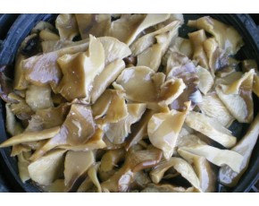 鹽漬鮑魚(yú)菇