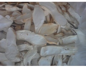 共應(yīng)雙孢菇，草菇，杏胞菇干品15998701239