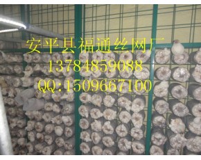 食用菌出菇網(wǎng)格網(wǎng)架