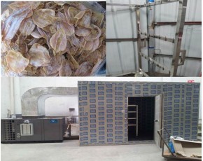 最好最先進(jìn)的魚干烘干除濕機(jī)