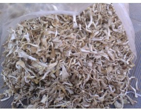 黑平菇干貨鮮貨