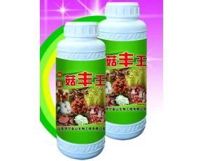 菇豐王