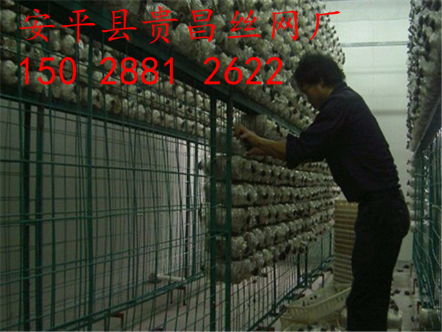 食用菌網(wǎng)格網(wǎng)架，出菇房網(wǎng)格，蘑菇網(wǎng)片