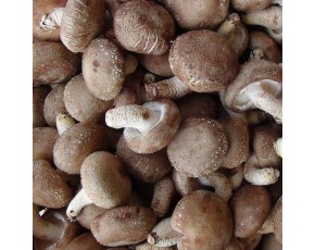 鮮香菇