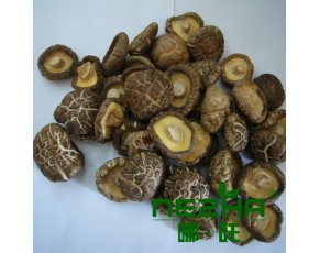 出口香菇