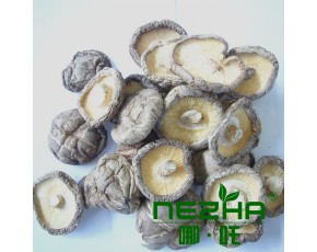 西峽香菇干4-5產(chǎn)地直銷供應(yīng)食用菌出口級(jí)韓國(guó)菇香菇批發(fā)