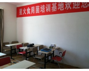 小投入大回報