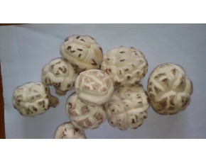 中國香菇之鄉(xiāng)--湖北隨州特級香菇