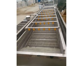 枸杞清洗機(jī)，大棗清洗機(jī)，果蔬清洗設(shè)備