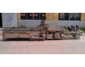 大棗清洗機(jī)，干棗清洗機(jī)，大棗清洗機(jī)廠家