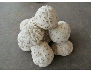 干品統(tǒng)貨香菇，黑面菇，菇腿