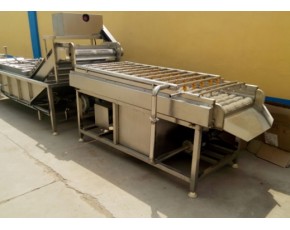 羅漢果清洗機(jī)，羅漢果清洗機(jī)廠家，果蔬加工設(shè)備