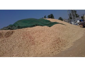 山東玉米芯，玉米芯顆粒
