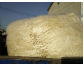 江蘇徐州大量供應(yīng)鹽漬黃金針菇
