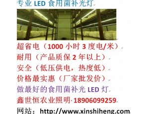 杏鮑菇專用LED燈