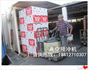 真空預(yù)冷機真空快速冷卻機真空速冷機食用菌制冷保鮮加工設(shè)備