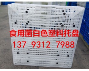 食用菌專用白色塑料托盤