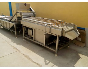茭白清洗機(jī)，毛輥清洗機(jī)，蔬菜清洗機(jī)廠家