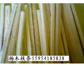 接種枝條