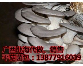 蘑菇平菇菌包代做，銷售