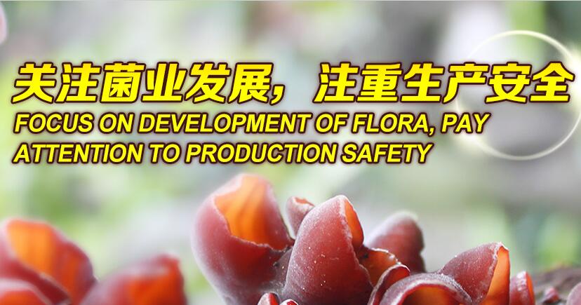 關(guān)注菌業(yè)發(fā)展，注重生產(chǎn)安全