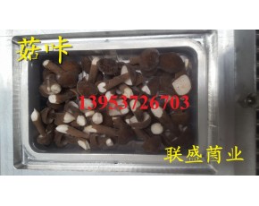 黑皮雞樅菌栽培技術(shù)