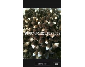 黑雞樅菌鮮菇大量上市每斤18-24元