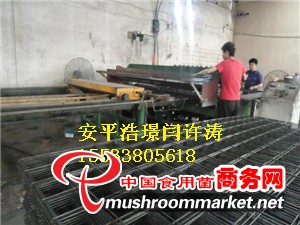 蘑菇網(wǎng)片廠商
