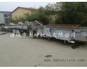 香菇食用菌清洗機蘑菇加工設備
