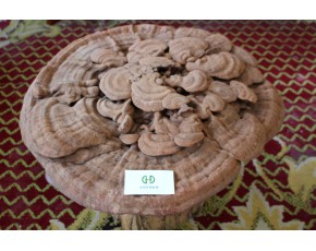大量供應(yīng)純板栗樹(shù)木屑、木段