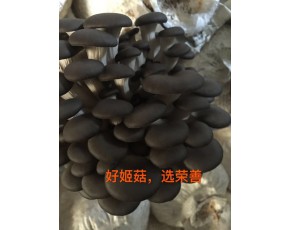 好姬菇，選榮善