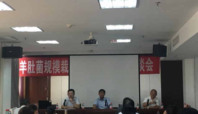 河北：遷西縣召開北方羊肚菌規(guī)模栽培穩(wěn)產(chǎn)高效座談會(huì)