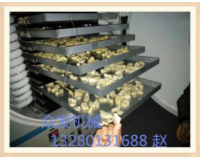 廠家專業(yè)生產(chǎn)海參凍干機 冬蟲夏草真空冷凍干燥機保健藥品凍干機