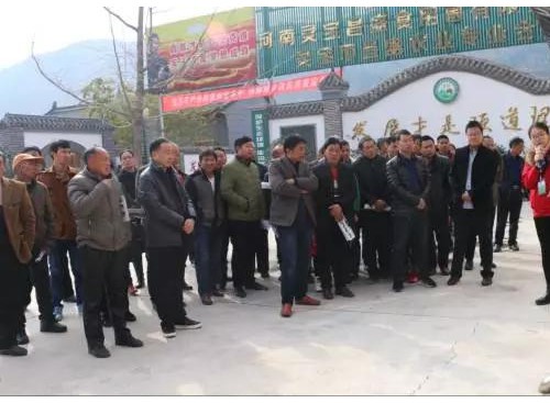 河南：西峽縣農(nóng)經(jīng)站“新型職業(yè)農(nóng)民培育工程食用菌培訓(xùn)班”到靈寶昌盛公司參觀學(xué)習(xí)
