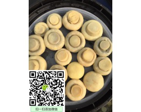 鹽漬雙孢菇