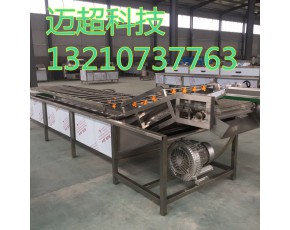 氣泡清洗機 果蔬清洗機 蘑菇清洗機流水 食品機械加工設備