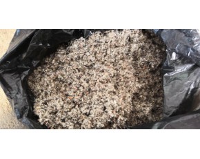 山東長期供應(yīng)棉籽殼、玉米芯