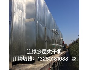 蘑菇清洗，烘干流水線，菊花空氣能定型烘干機(jī)