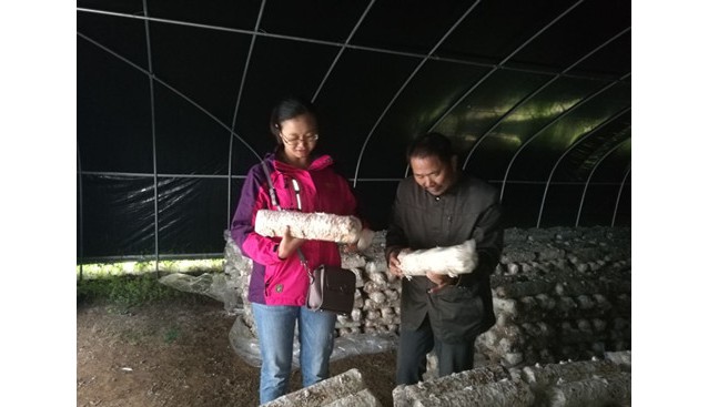 貴州省農(nóng)科院品資所在赫章縣開展食用菌種植等科技培訓班