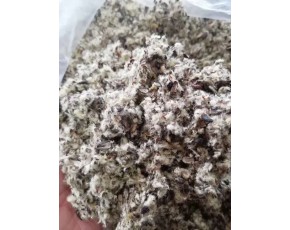新疆南北疆油脂棉殼、棉籽