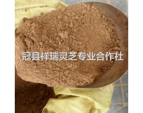 靈芝超細粉
