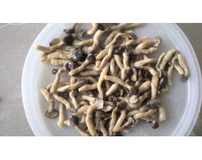 河北供應(yīng)優(yōu)質(zhì)鹽漬姬菇S級。數(shù)量百噸