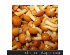 滑子菇量大！來收購商