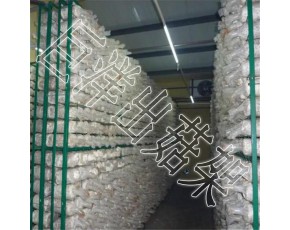 平菇出菇網(wǎng)格架 廠家批發(fā)杏鮑菇養(yǎng)殖架 工廠化出菇房網(wǎng)架