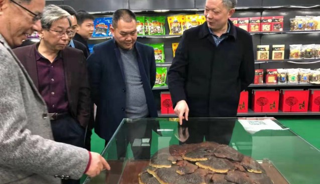 湖南省微生物研究院一行三人到永春堂蘆山靈芝羊肚菌特色產(chǎn)業(yè)園視察