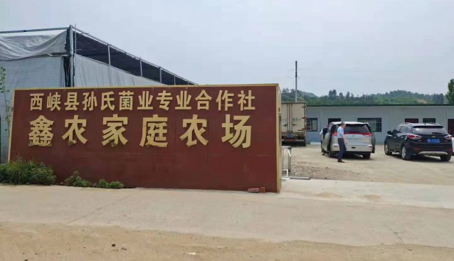 河南省農(nóng)業(yè)農(nóng)村廳合作經(jīng)濟(jì)指導(dǎo)處領(lǐng)導(dǎo)一行蒞臨西峽縣孫氏菌業(yè)合作社調(diào)研